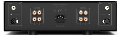 Hegel H20 Stereo Power Amplifier, back