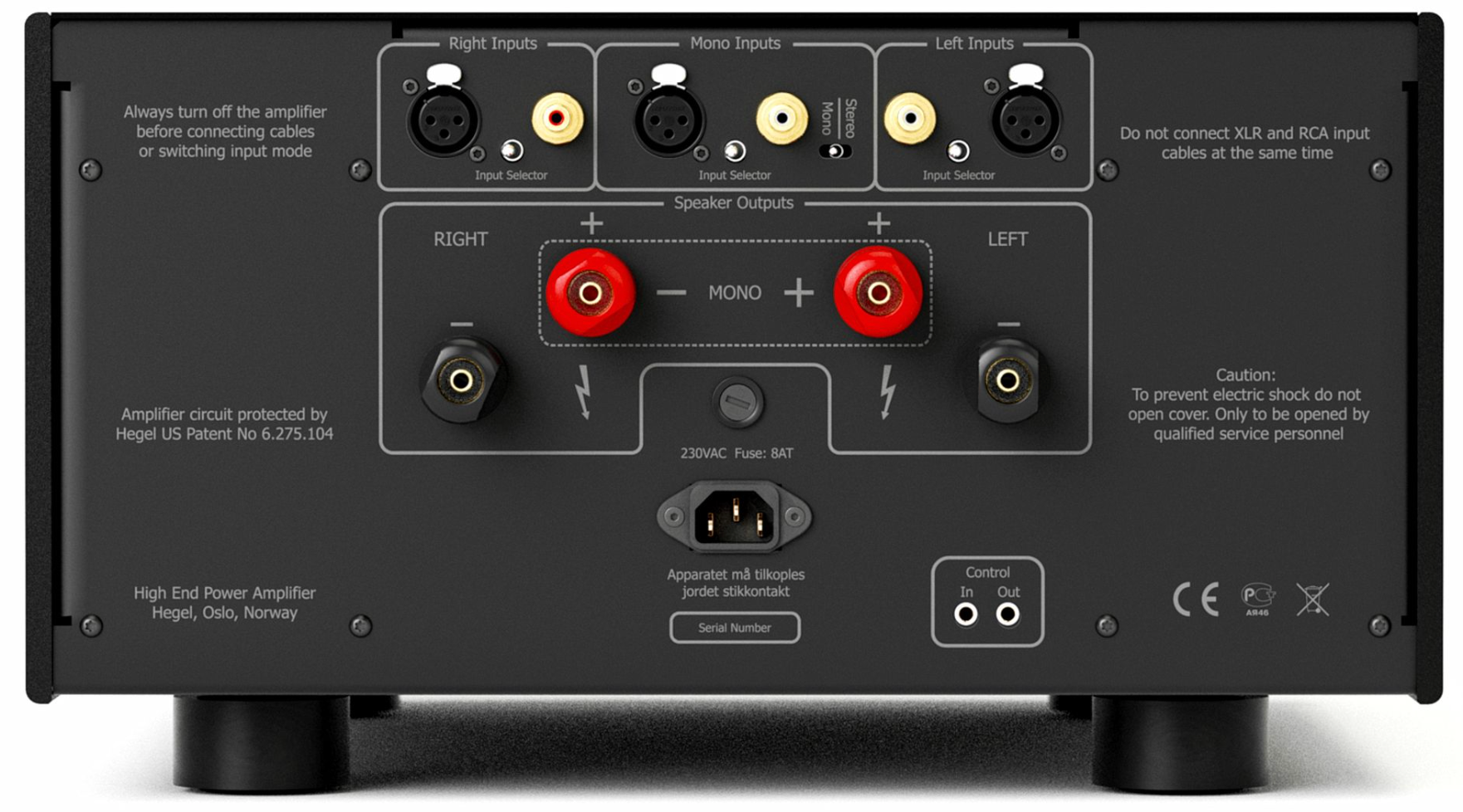 Hegel H30A Power Amplifier, back of unit