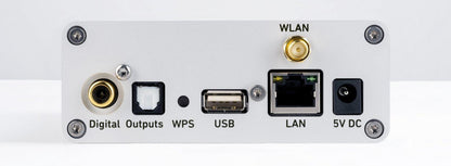 Lindemann Network & Streaming Lindemann Limetree Bridge