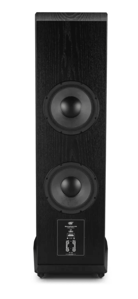 MoFi Electronics SourcePoint V10 Master Edition Floorstanding Speakers in Satin Black Ash, Individual speaker, rear