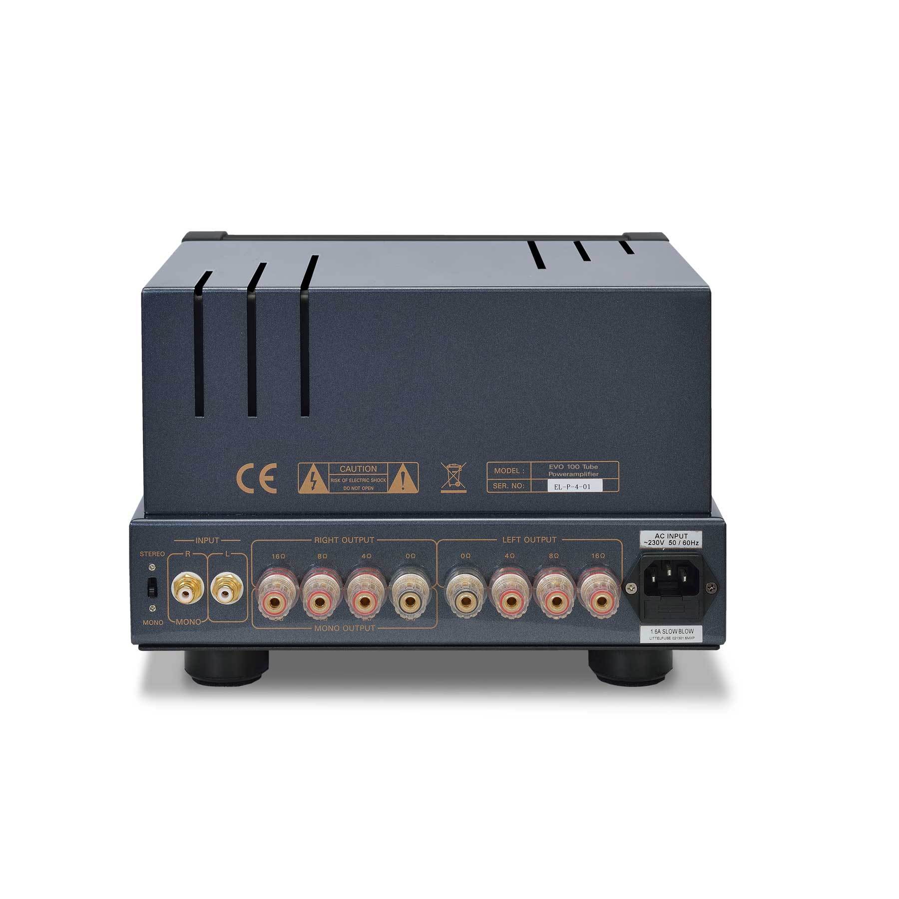 PrimaLuna EVO 100 Tube Power Amplifier back