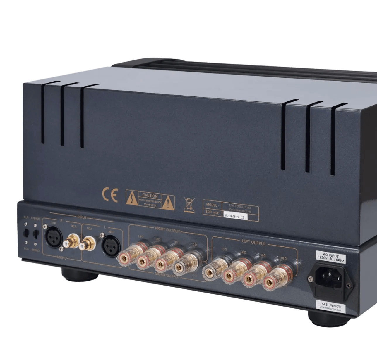 PrimaLuna EVO 300 Tube Power Amplifier back, angled image