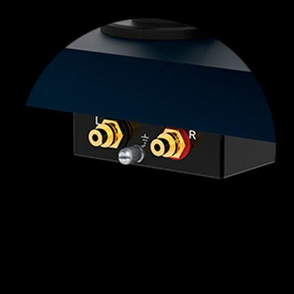 ProJect Audio Systems Turntables ProJect Debut Carbon EVO Turntable (High Gloss Red) with Ortofon 2M Red Cartridge