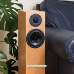 Spendor A2 Floorstanding Speakers, in room image by sofa