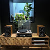 The Brain Freeze 2.0 Turntable PackAudio BundlesComboVinyl Revival