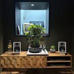 The Constant Repeat Turntable PackAudio BundlesComboVinyl Revival