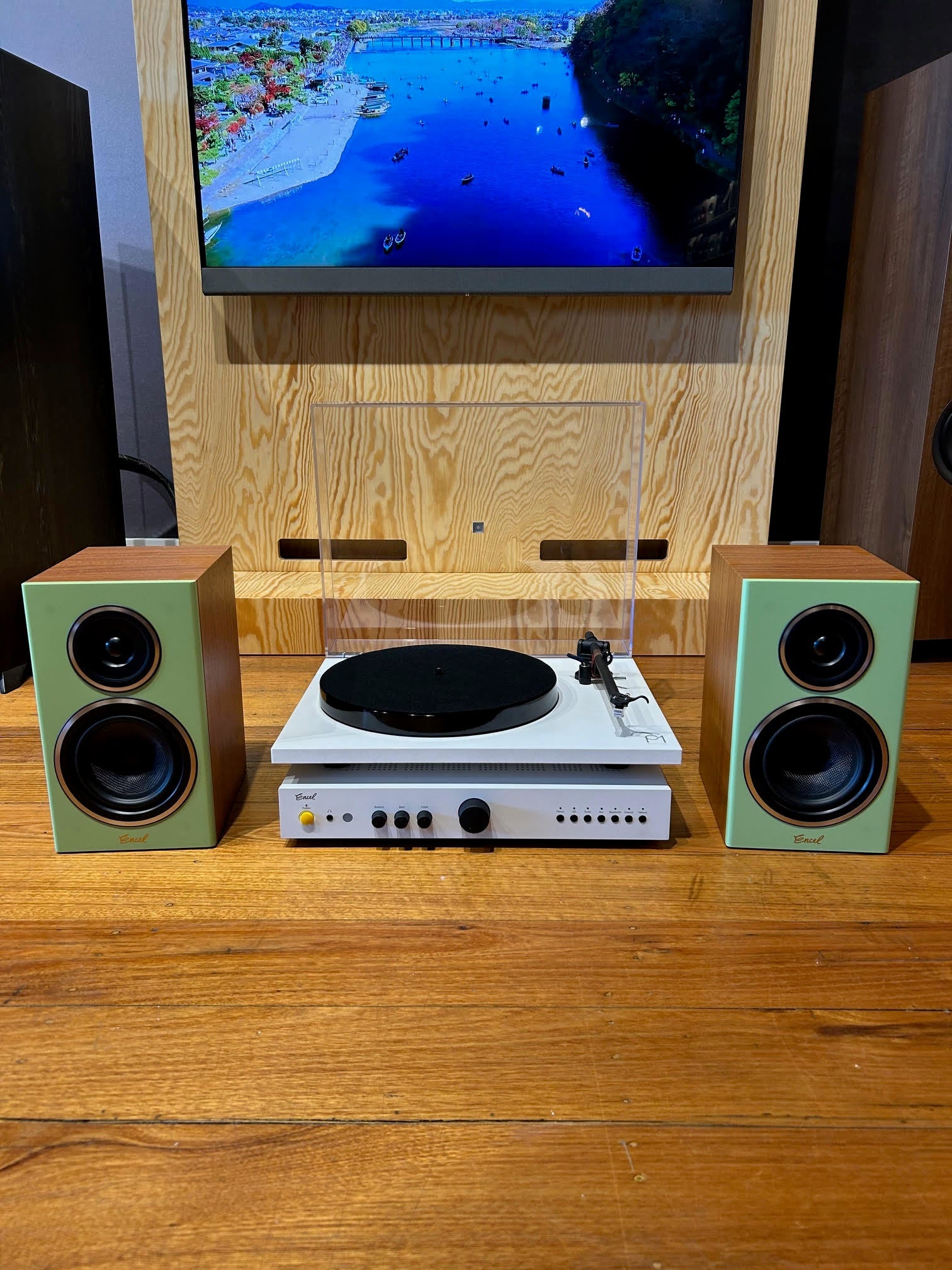 The Gelati Brains Freeze Turntable PackageAudio BundlesComboVinyl Revival