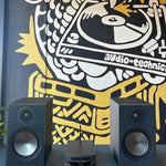 The Mini Mouse Streaming PackAudio BundlesComboVinyl Revival