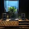 The Upper Elipson Turntable PackAudio BundlesComboVinyl Revival