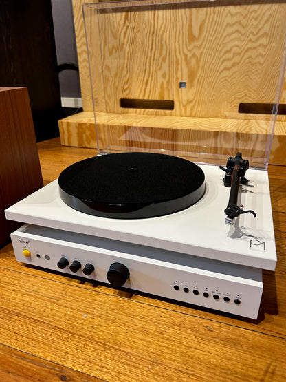The Gelati Brains Freeze Turntable Package