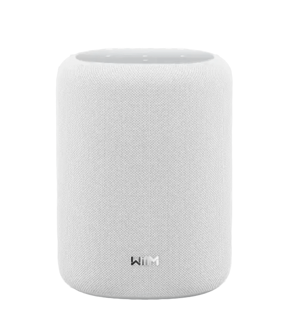WiiM Sound Lite Smart Speaker in White