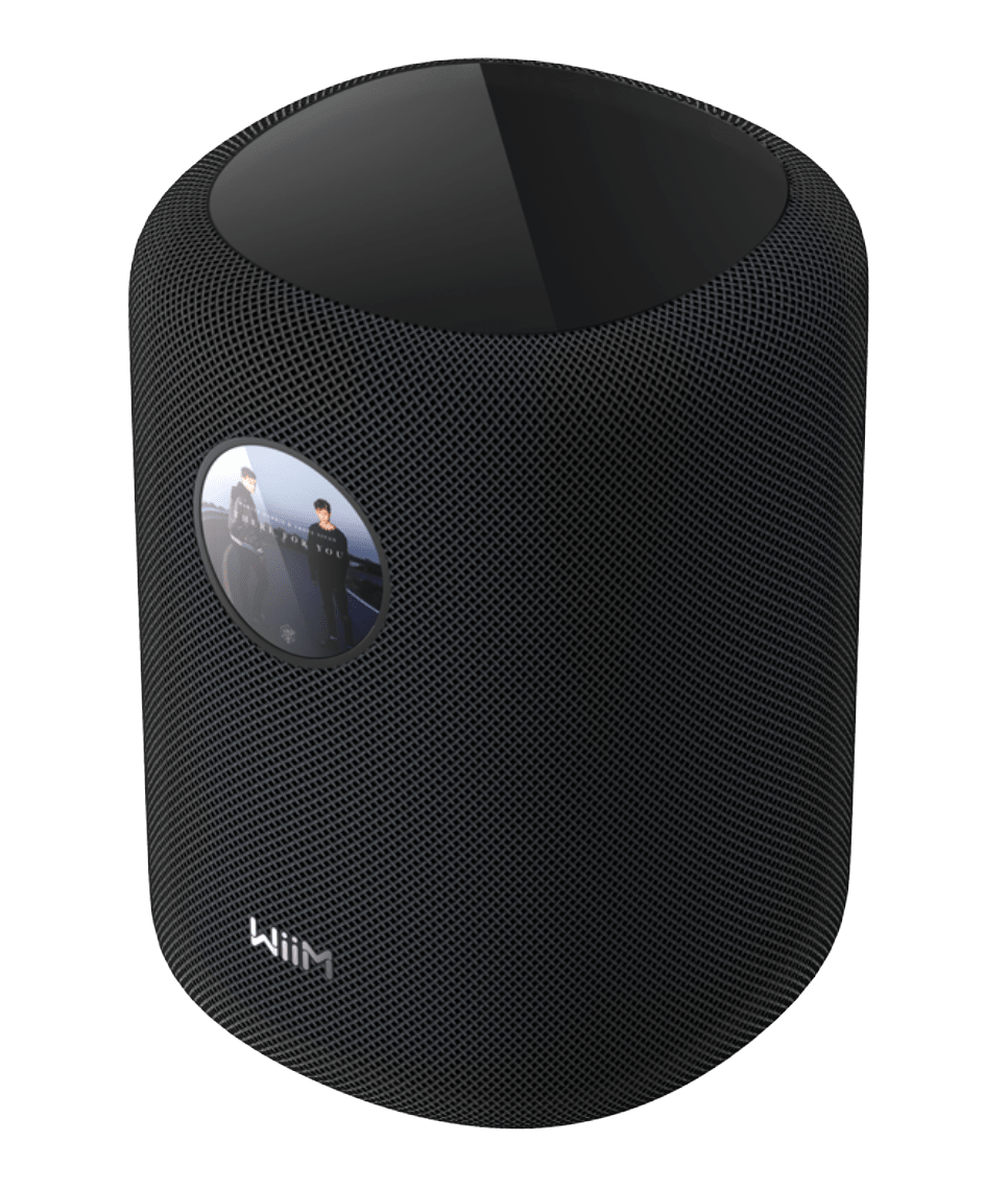 WiiM Sound Smart Speaker in Black angled