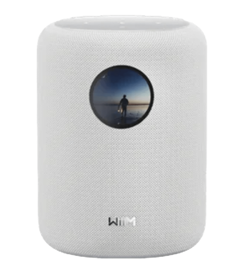 WiiM Sound Smart Speaker in White 